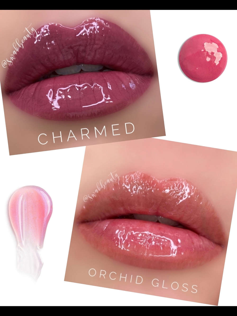 CHARMED & ORCHID